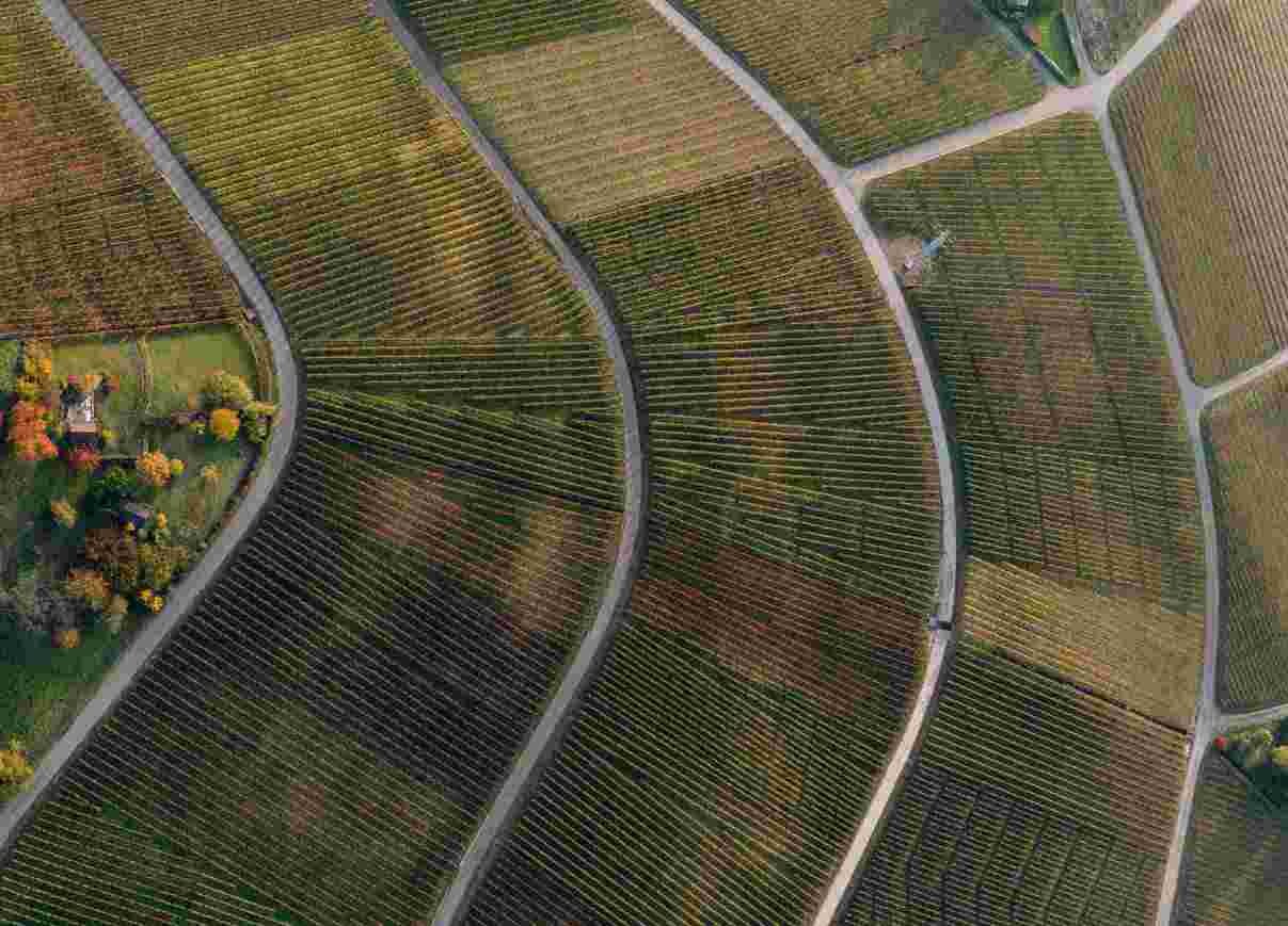 Tax incentive procedures for agricultural sectors